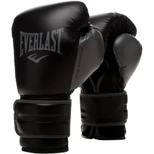 Luvas de boxe de treinamento Everlast Powerlock 2R Hook and Loop